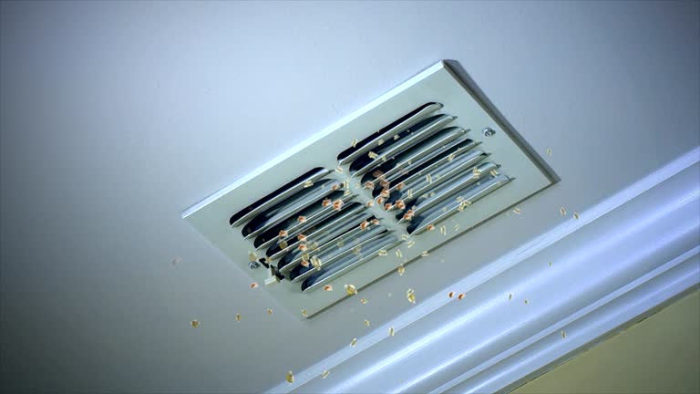 Best Affordable HVAC Duct Cleaning  in Drew, MS