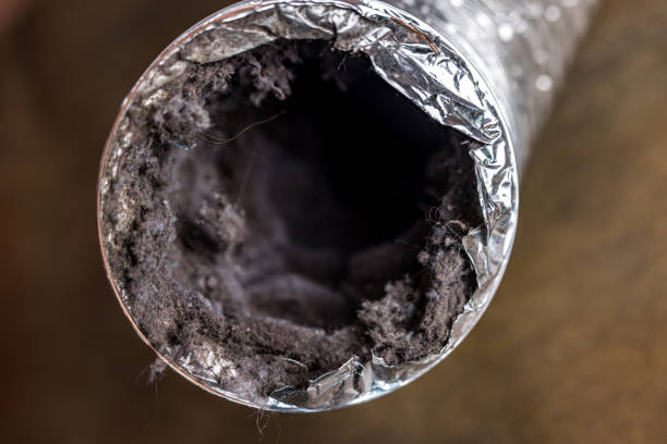 Best Air Duct Cleaning Near Me  in Drew, MS