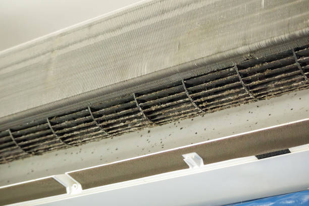 Best HVAC Duct Inspection Services  in Drew, MS